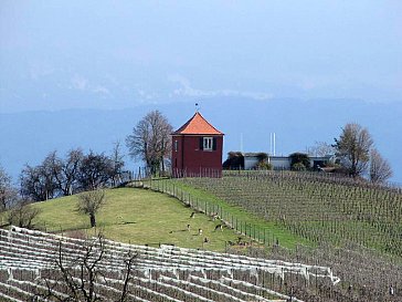 Ferienwohnung in Immenstaad - Immenstaad am Bodensee