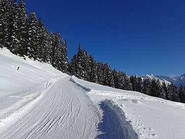 Ferienwohnung in Saas im Prättigau - Schlittelpiste nach Saas