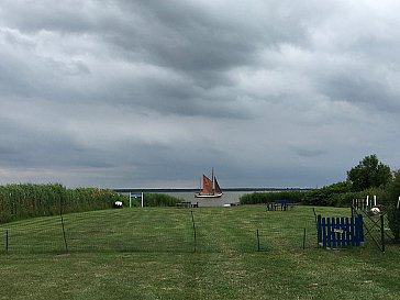 Ferienwohnung in Born am Darss - Wassergrundstück- eingezäunte Hundewiese