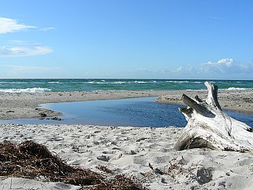 Ferienwohnung in Born am Darss - Ostsee - Weststrand