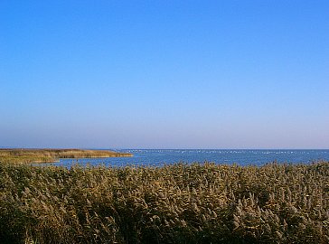 Ferienwohnung in Born am Darss - Bodden