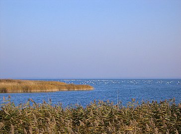 Ferienwohnung in Born am Darss - Bodden