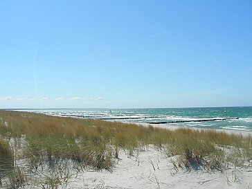 Ferienwohnung in Born am Darss - Ostseestrand