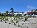 Ferienhaus in La Escalona-Vilaflor - Kanarische Inseln