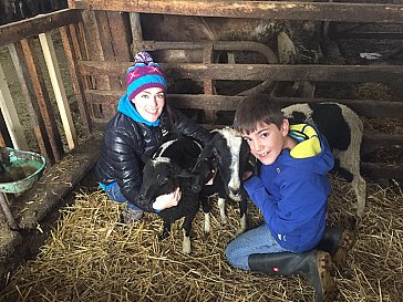 Ferienwohnung in Mals - Schafe und Lämmer