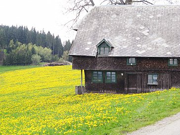 Ferienhaus in Breitnau - Das Untere Schanzenhäusle vor der Renovierung