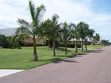 Ferienhaus in Cape Coral - Strassenansicht 2