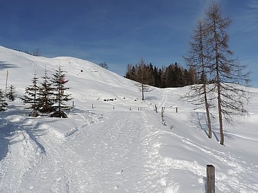 Ferienhaus in Bürserberg - Winterwandern