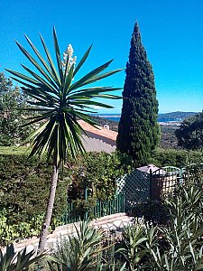 Ferienwohnung in Grimaud - Pool Blick auf die Bucht