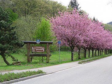 Ferienwohnung in Rumbach - Rumbach im Frühling