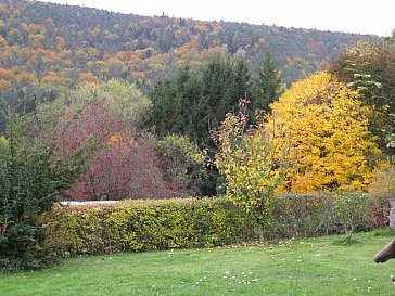 Ferienwohnung in Rumbach - Rumbach im Herbst