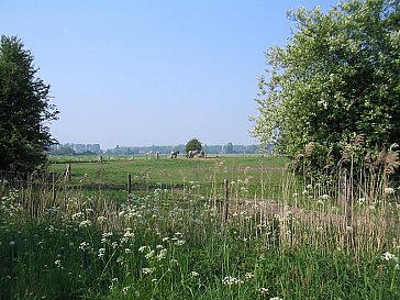 Ferienhaus in Heinkenszand - Provinz Zeeland