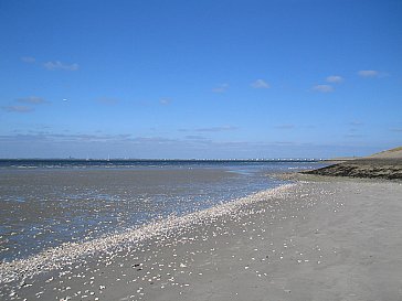 Ferienhaus in Heinkenszand - Provinz Zeeland