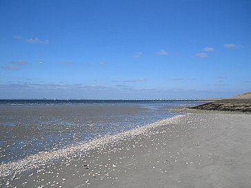 Ferienhaus in Heinkenszand - Provinz Zeeland