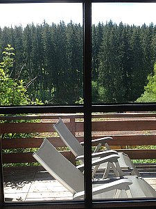 Ferienhaus in Lenzkirch - Ausblick