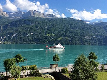 Ferienwohnung in Brienz - Berg-Seeblick