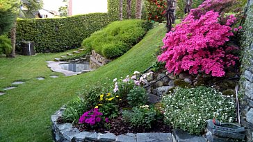 Ferienwohnung in Ascona - Blumenbeet beim Sitzplatz