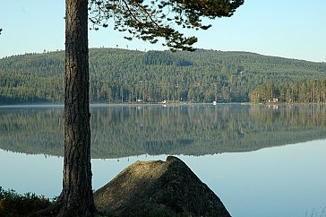 Ferienhaus in Malung - Beruhigender Blick auf den See von dem Grundstück