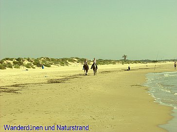 Ferienwohnung in Guardamar del Segura - Dünenstrand