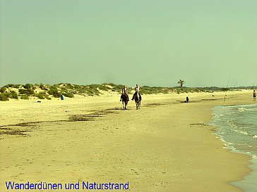 Ferienwohnung in Guardamar del Segura - Dünenstrand