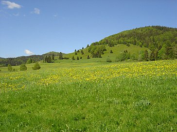 Ferienwohnung in Bernau im Schwarzwald - Unser Bernauer Hochtal