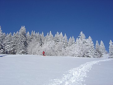 Ferienwohnung in Bernau im Schwarzwald - Winter im Bernauer Hochtal