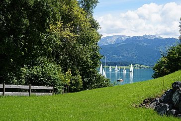 Ferienhaus in Dietringen - Garten direkt am Forggensee