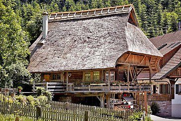 Ferienhaus in Haslach-Fischerbach - Ferienhaus im Kinzigtal