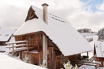 Ferienhaus in Haslach-Fischerbach - Ferienhaus im Winter