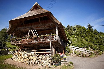 Ferienhaus in Haslach-Fischerbach - Das Haus im Sommer