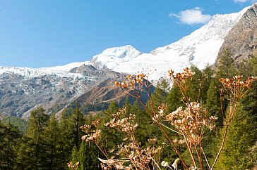 Ferienwohnung in Saas-Fee - Bergwelt von Saas-Fee