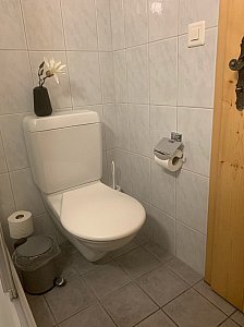 Ferienwohnung in Klosters - WC/Dusche