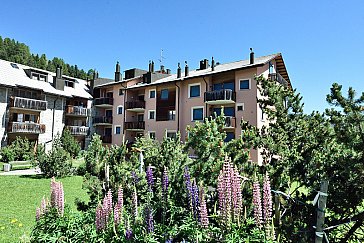 Ferienwohnung in Champfèr - Haus Suot Chesas 8b