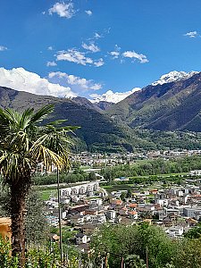 Ferienhaus in Monte Carasso - Aussicht