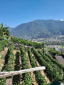 Ferienhaus in Monte Carasso - Aussicht auf das Dorf Monte carasso