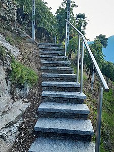 Ferienhaus in Monte Carasso - Treppenstufen zum Ferienhaus durch den Rebberg